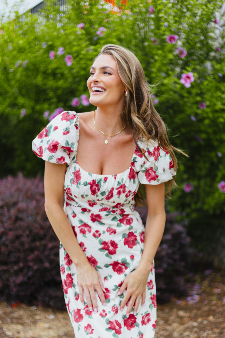 Dipingi l'abito delle rose