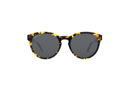 Occhiali da sole Latitude - Di Morgan