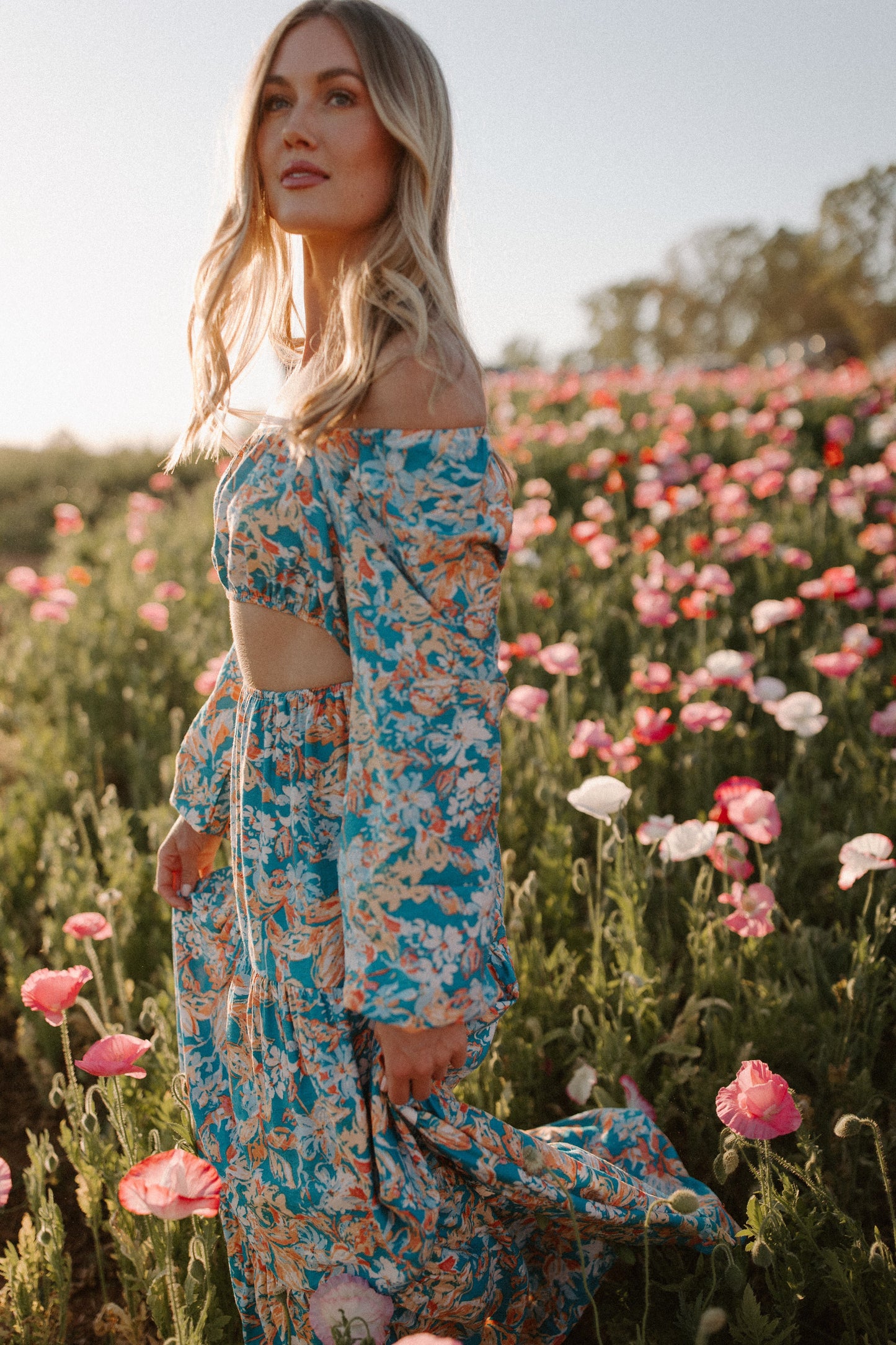 Castello nel cielo in alto