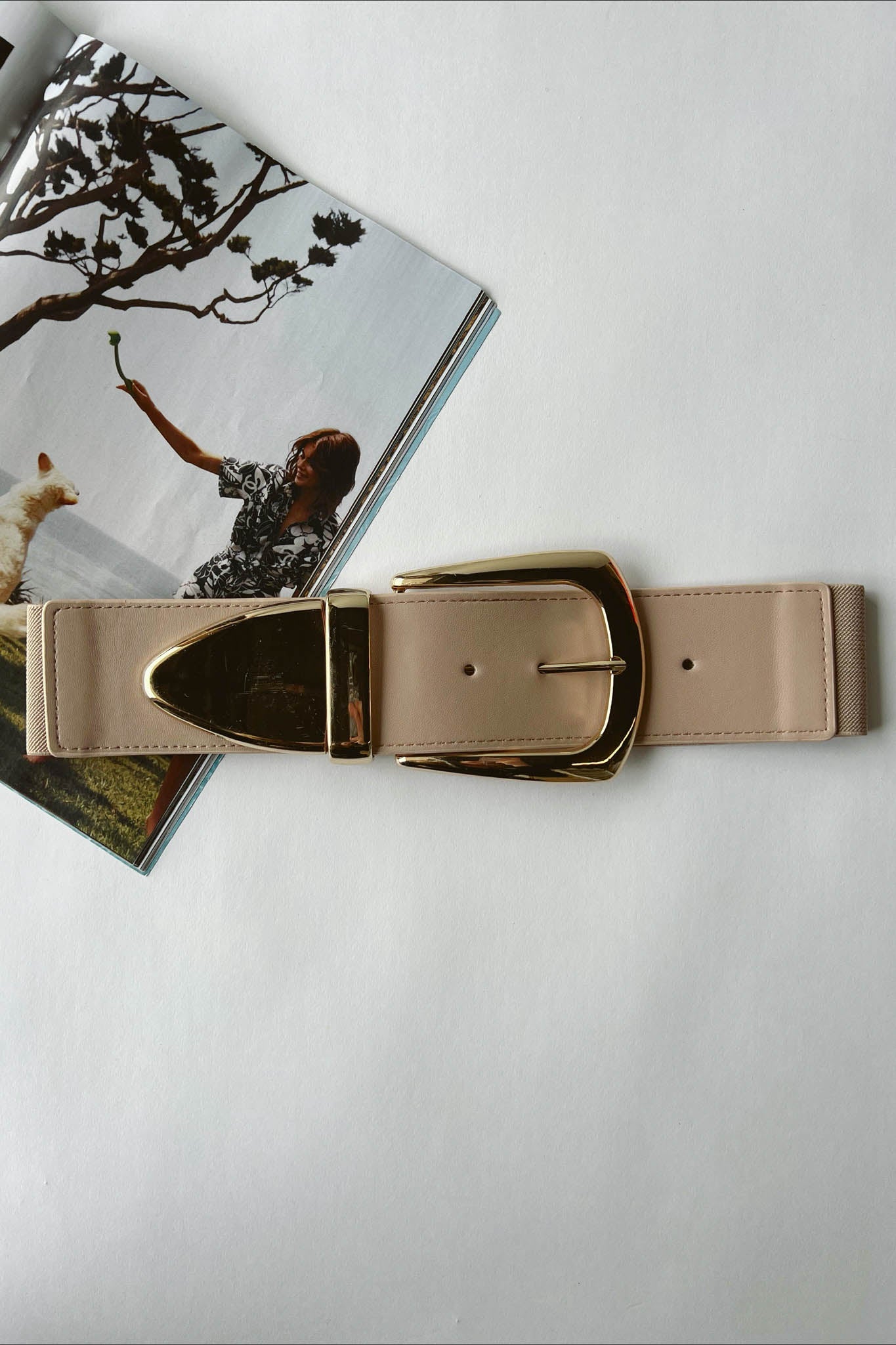 Cintura Grandi Progetti