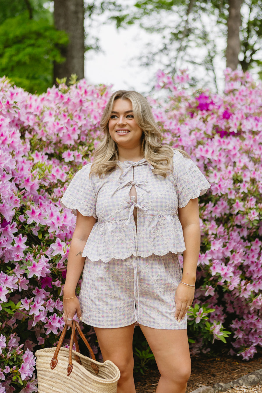 Campi di Lavanda in alto