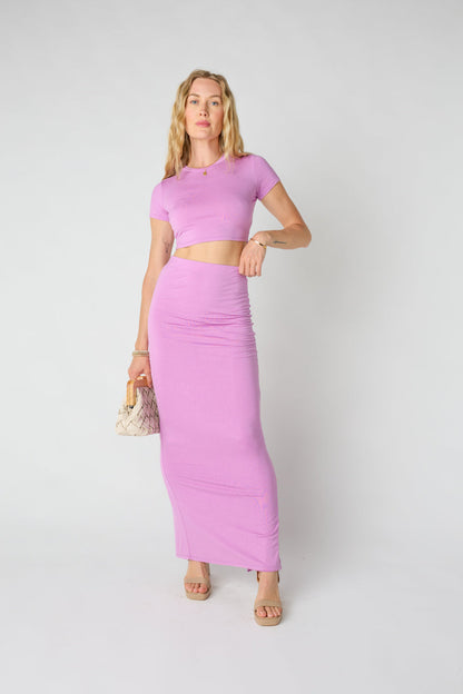 Top orchidea brillante