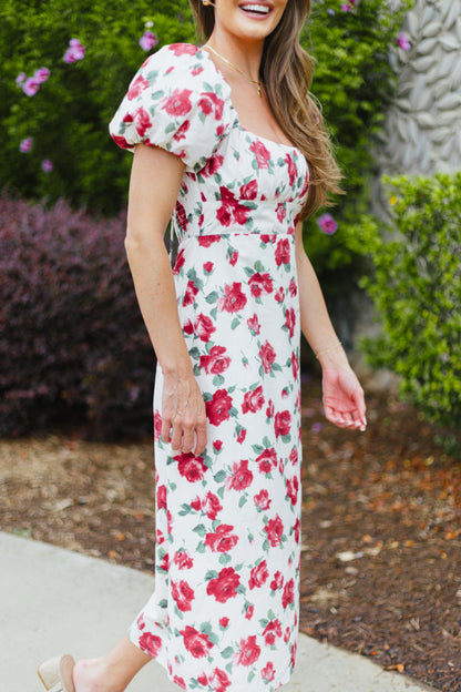 Dipingi l'abito delle rose